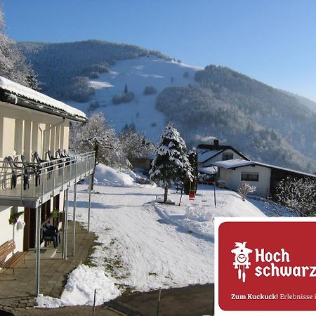 Steiert Panorama Apartments Тодтнау Экстерьер фото