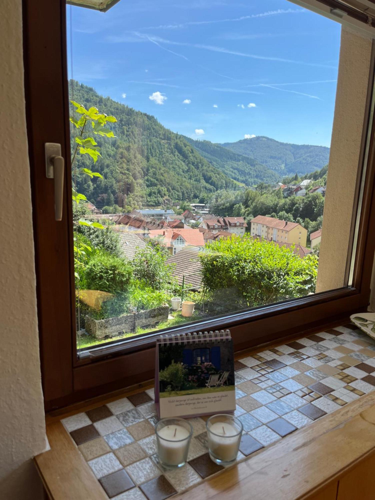 Steiert Panorama Apartments Тодтнау Экстерьер фото