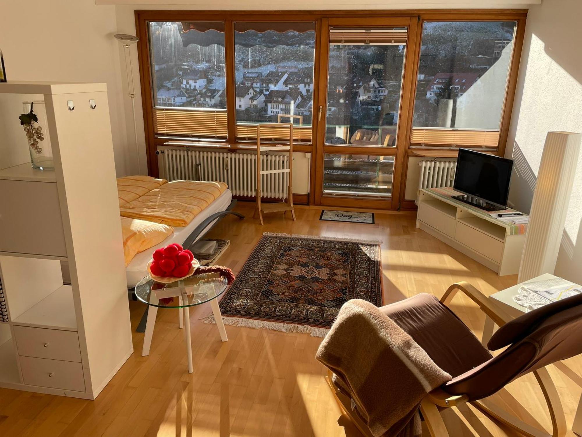 Steiert Panorama Apartments Тодтнау Экстерьер фото