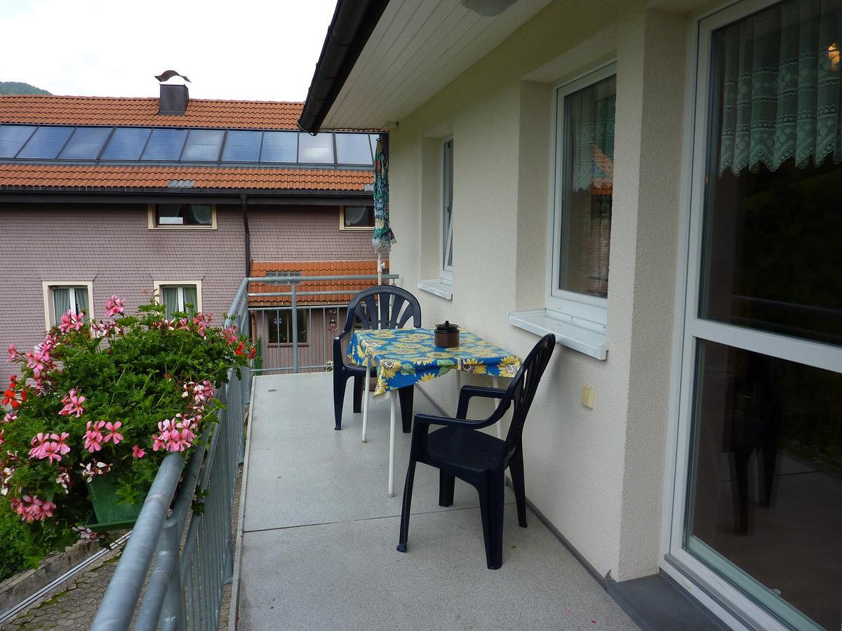 Steiert Panorama Apartments Тодтнау Экстерьер фото