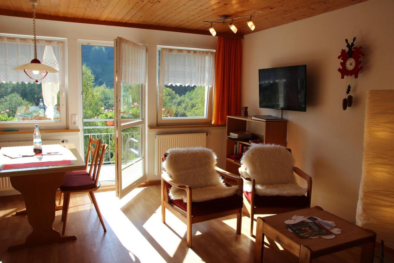 Steiert Panorama Apartments Тодтнау Экстерьер фото
