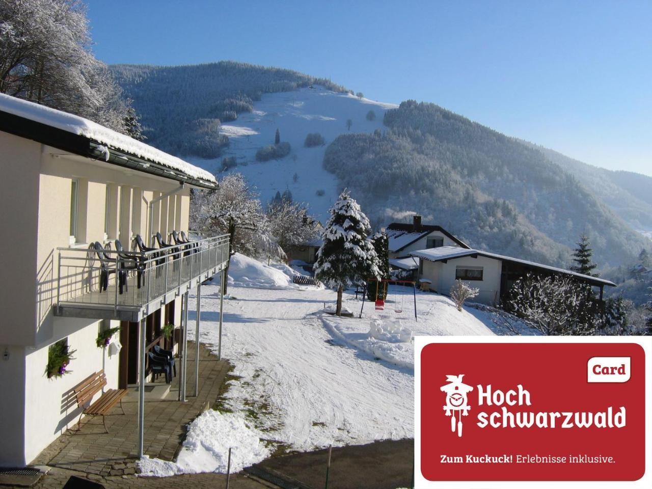 Steiert Panorama Apartments Тодтнау Экстерьер фото