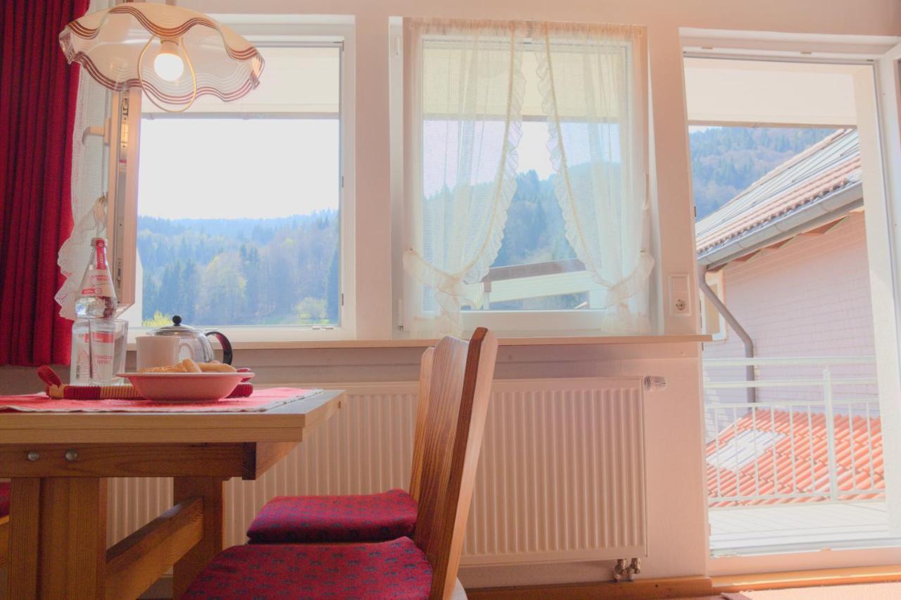 Steiert Panorama Apartments Тодтнау Экстерьер фото