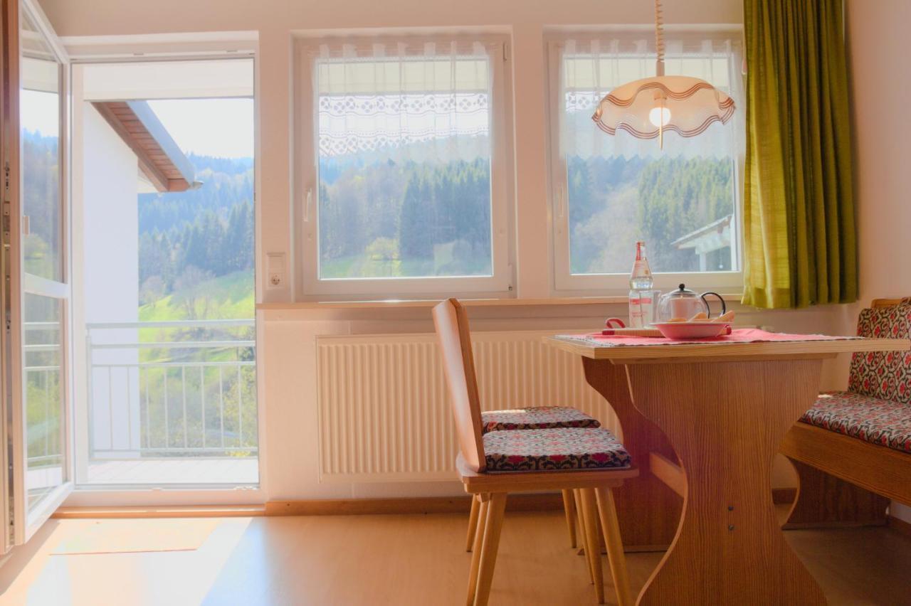 Steiert Panorama Apartments Тодтнау Экстерьер фото